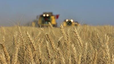 TMO'nun hububat satış fiyatları belirlendi
