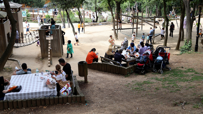 Millet bahçelerine akın var