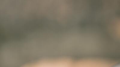 Karınca kış uykusuna yatar mı?