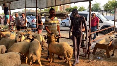 'Örümcek Adam' kurban pazarında