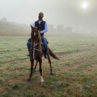 Kaçan kurbanlık danayı at sırtında kovboy gibi aradı