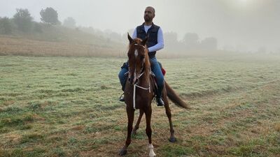 Kaçan kurbanlık danayı at sırtında kovboy gibi aradı