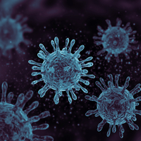 Finlandiya, Covid-19'u "tehlikeli bulaşıcı hastalık" olarak sınıflandırmayacak