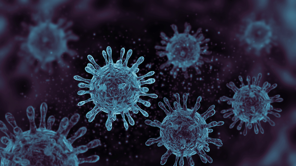 Finlandiya, Covid-19'u "tehlikeli bulaşıcı hastalık" olarak sınıflandırmayacak