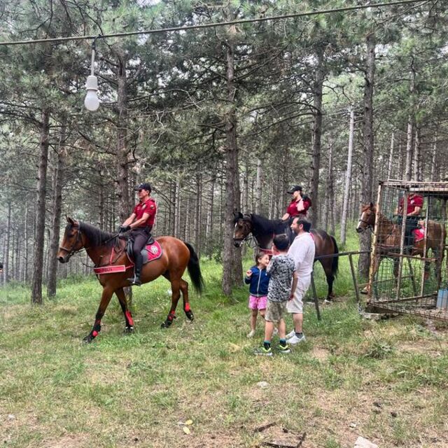 Aydos Ormanı'nda atlı polislerden denetim