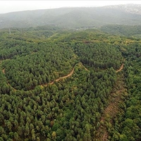 Muğla Valiliğinden orman yangını uyarısı
