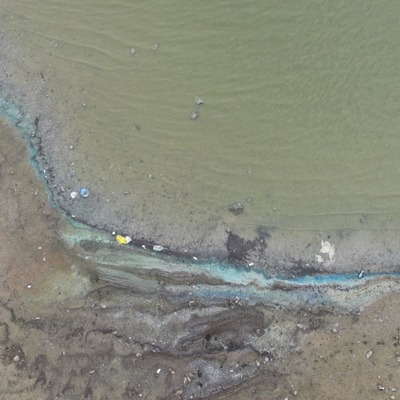 Sazlıbosna Barajı'nda tedirgin eden görüntü!