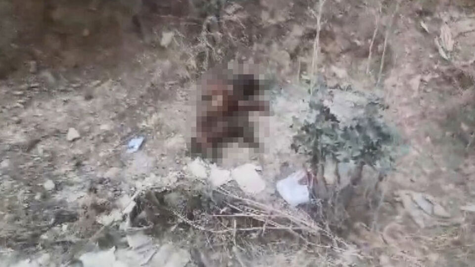 Bunun adı tam bir canilik!