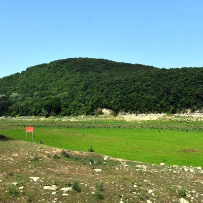 3 baraj kurudu! Otlarla yemyeşil oldu