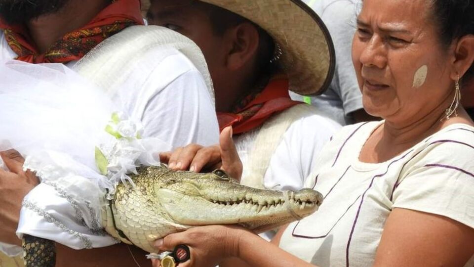 Belediye başkanı timsahla evlendi