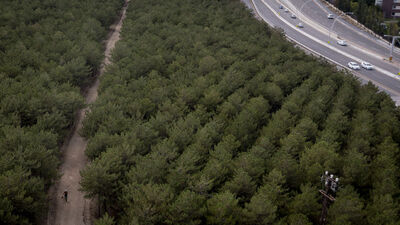Başkent'te ormanlık alanlara giriş yasağı