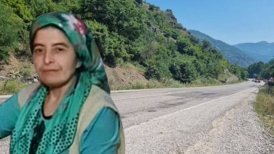 Hayvanlarını evine götürürken hayatını kaybetti