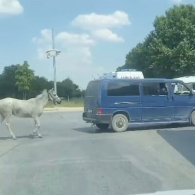 Atı arkasından koşturdu, gözaltı kararı çıktı!