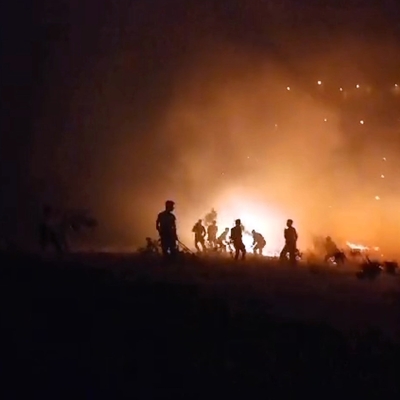 Fıstık bahçesinde çıkan yangın ormana sıçradı!