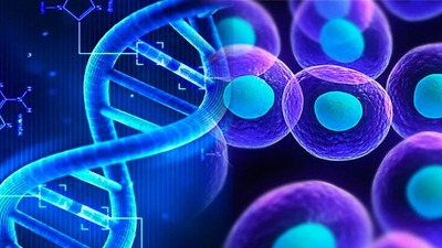 Hastalığınızın arkasında o mu var? Nedir bu kimerizm? 