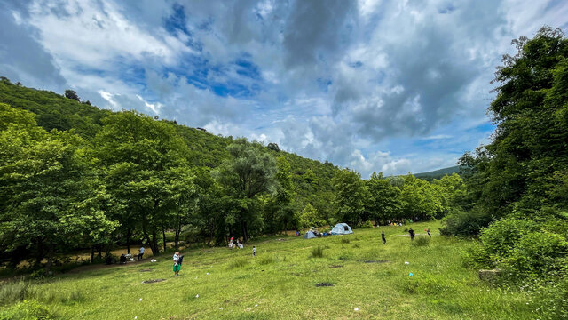 Yürüyüş yolu ağaç tünelleriyle ilgi çekiyor
