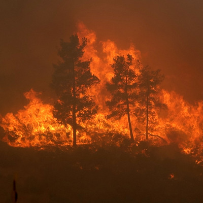 İçişleri'nden orman yangınlarına karşı genelge!