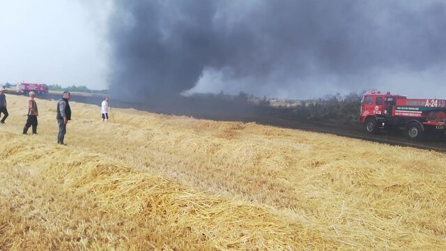 Çanakkale'de 50 dönümlük buğday tarlası alev alev yandı