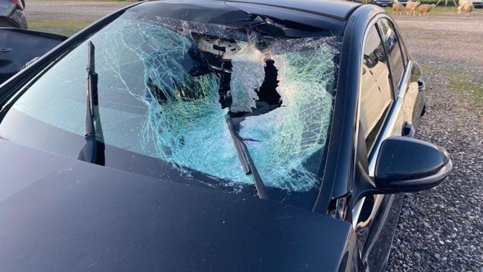 Feci ölümde o taşın sırrı çözüldü!