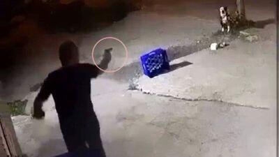 Köpeğe 14 kurşun!