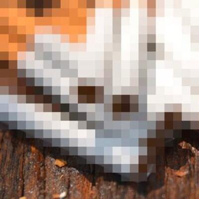 KDV artışı katlanarak yansıyacak