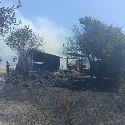 Orman yangınında 'tiny house'lar küle döndü!