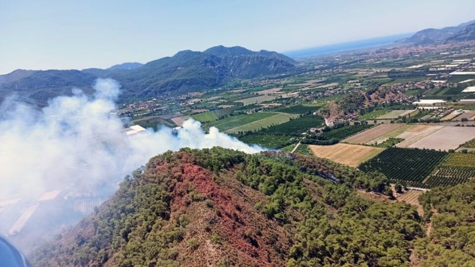Muğla'da orman yangını çıktı!