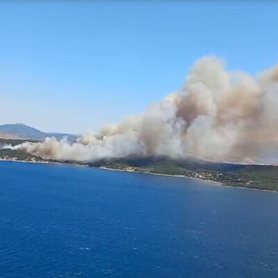 İzmir'de iki ilçede birden orman yangını çıktı!