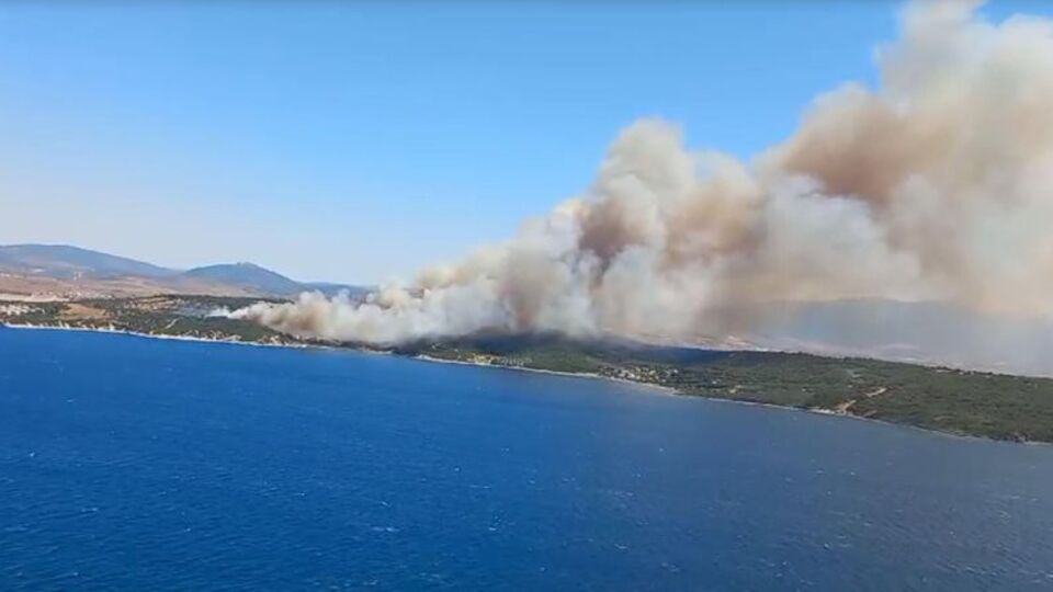 İzmir'de iki ilçede birden orman yangını çıktı!