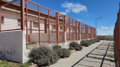 Elazığ'daki barınak dehşetinde karar bozuldu!