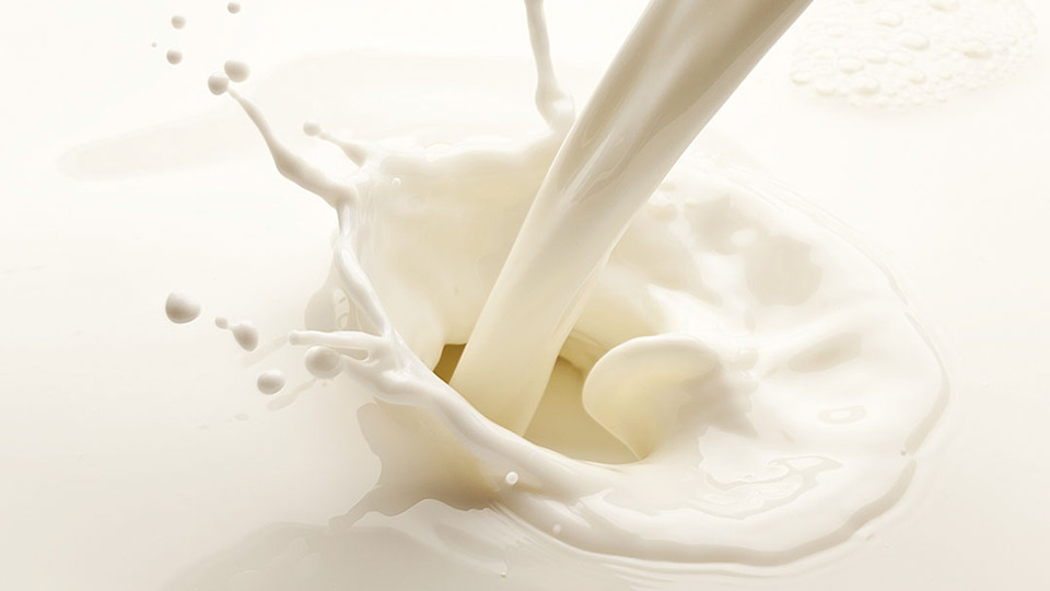 Çiğ süt tavsiye fiyatında yüzde 35 artış