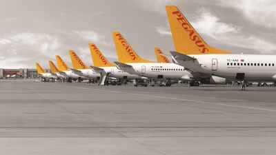 Pegasus'tan 36 yeni uçak siparişi