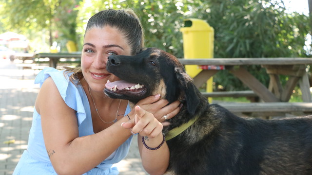 Almanya'ya sahiplendirildi... Zeytin, 'Josy' oldu
