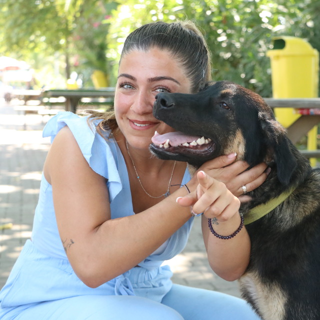 Almanya'ya sahiplendirildi... Zeytin, 'Josy' oldu