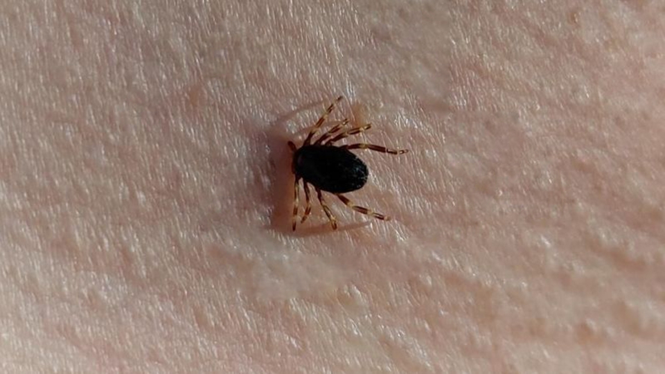 Uzmanlar uyardı! "Çıplak elle dokunmayın"