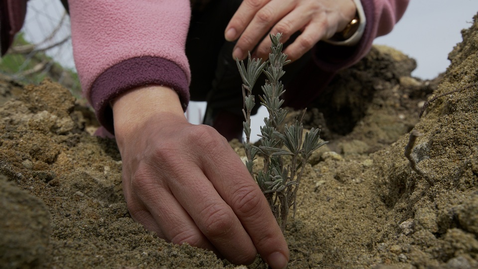 Binlerce çocuğun geleceğine ışık olacak