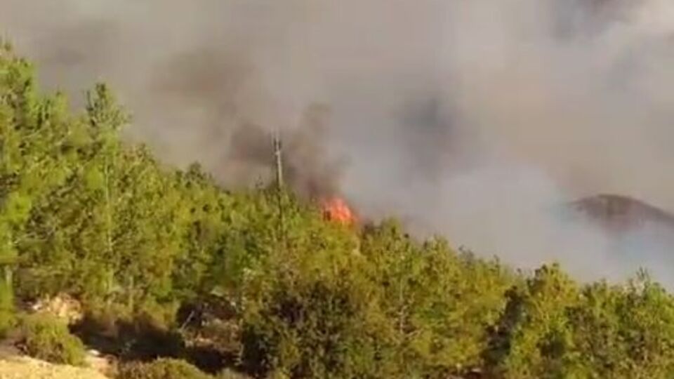Mersin'de orman yangını!