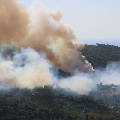 Hatay’da orman yangını!