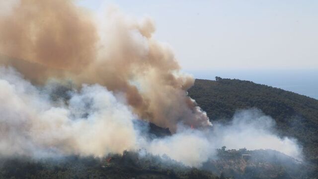 Hatay'da orman yangını!