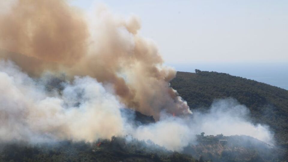 Hatay'da orman yangını!
