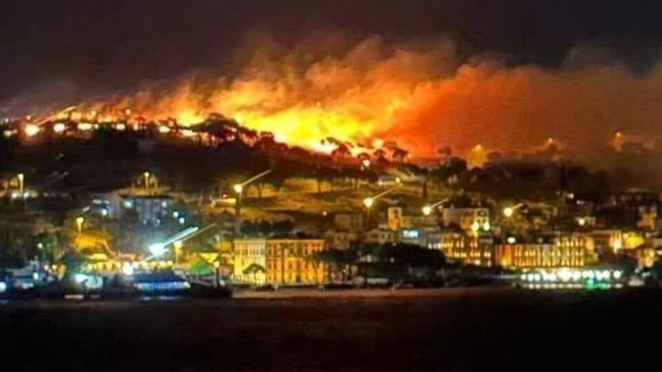 Ayvalık'taki otluk alanda yangın