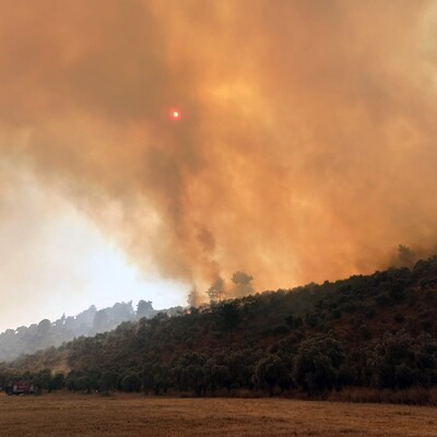 Otomobilden torpil attı! 160 hektarlık alanı küle çevirdi