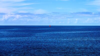 Pasifik Okyanusu'nda 2 ay hayatta kaldı