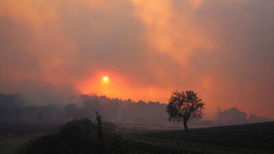 3 ilde orman yangınları sürüyor!