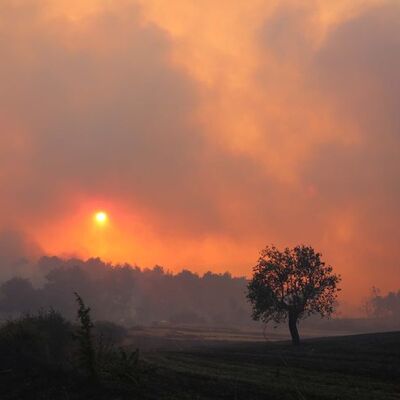3 ilde orman yangınları sürüyor!