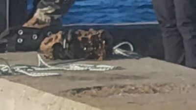 Boğaz'da mayın! Dalgıçlar çıkardı