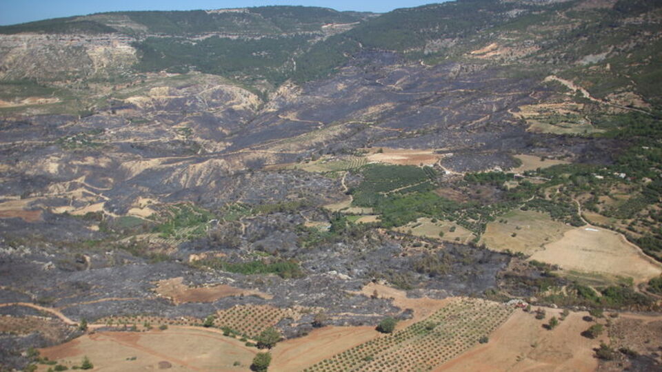 Mersin'deki orman yangını kontrol altında