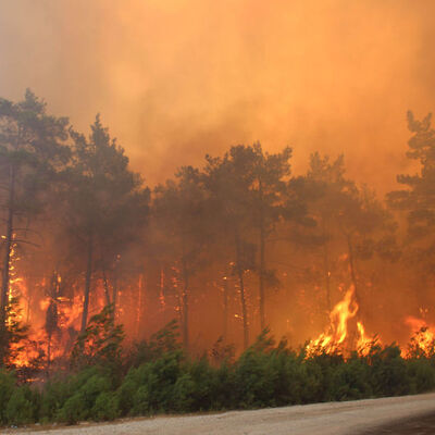 Antalya Orman Bölge Müdürü: 20 gün mangal yakmayın