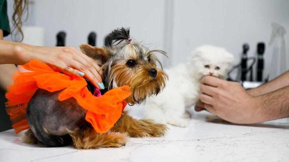 Öldürücü parazit vakalarında artış!