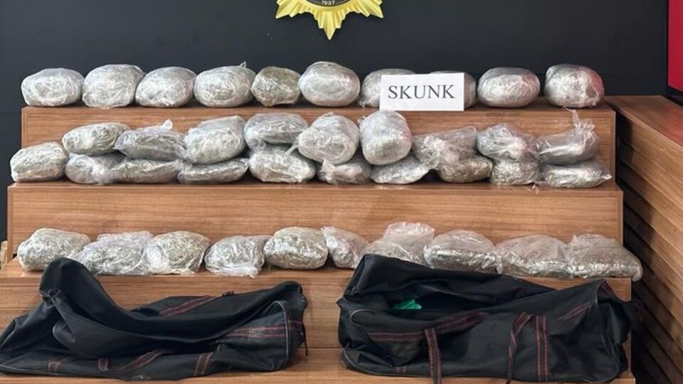 Şanlıurfa'da 32 kilo 660 gram skunk ele geçirildi